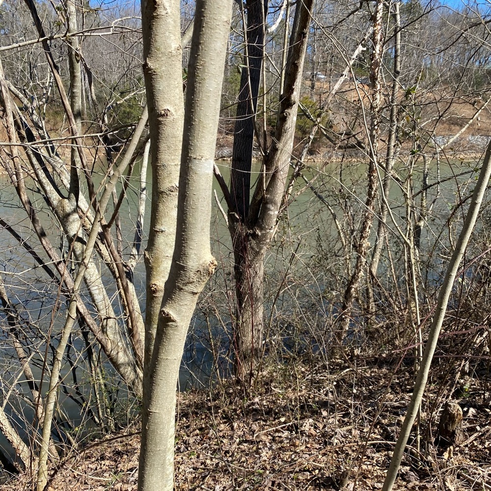 Meet your Posher, Joy